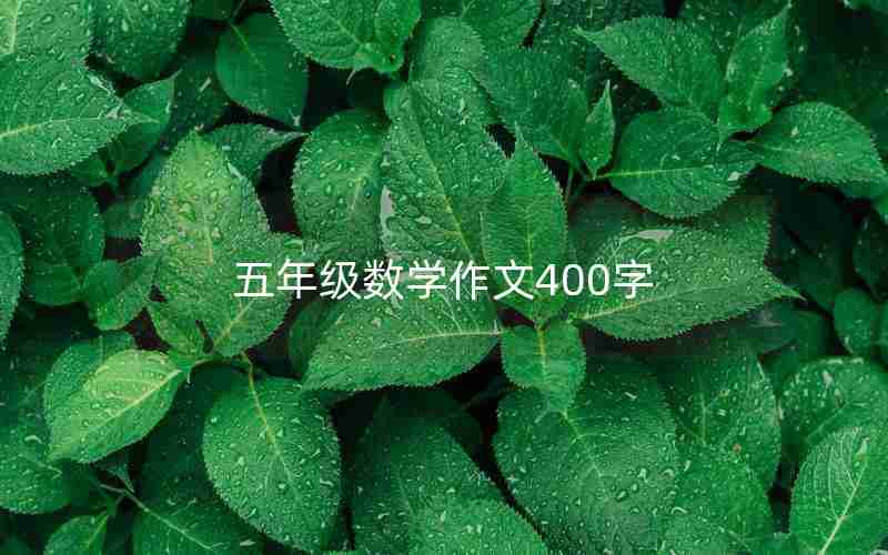 五年级数学作文400字