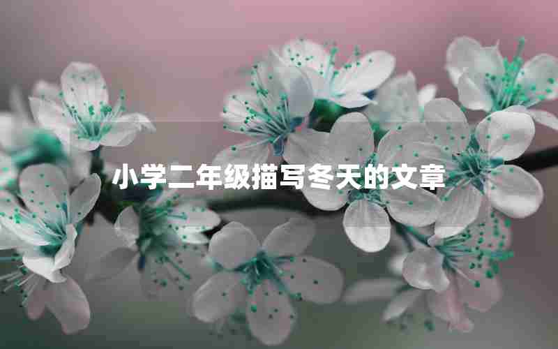 小学二年级描写冬天的文章