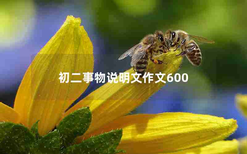 初二事物说明文作文600