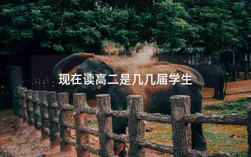 现在读高二是几几届学生