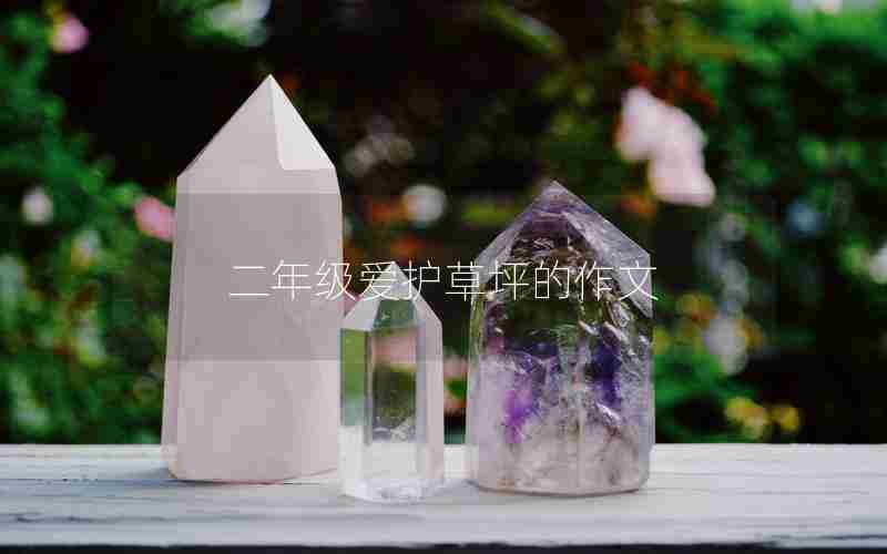 二年级爱护草坪的作文
