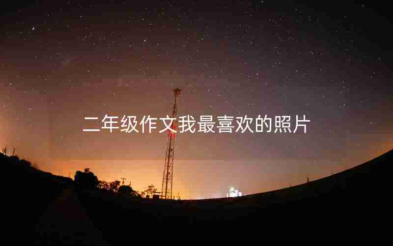 二年级作文我最喜欢的照片