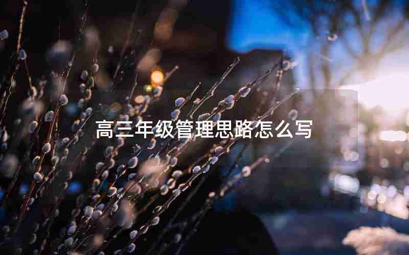 高三年级管理思路怎么写