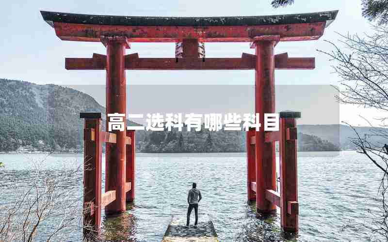 高二选科有哪些科目