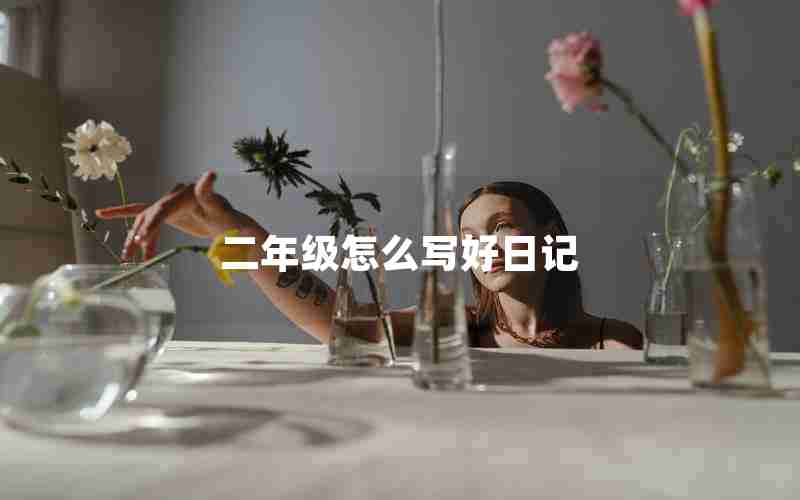 二年级怎么写好日记