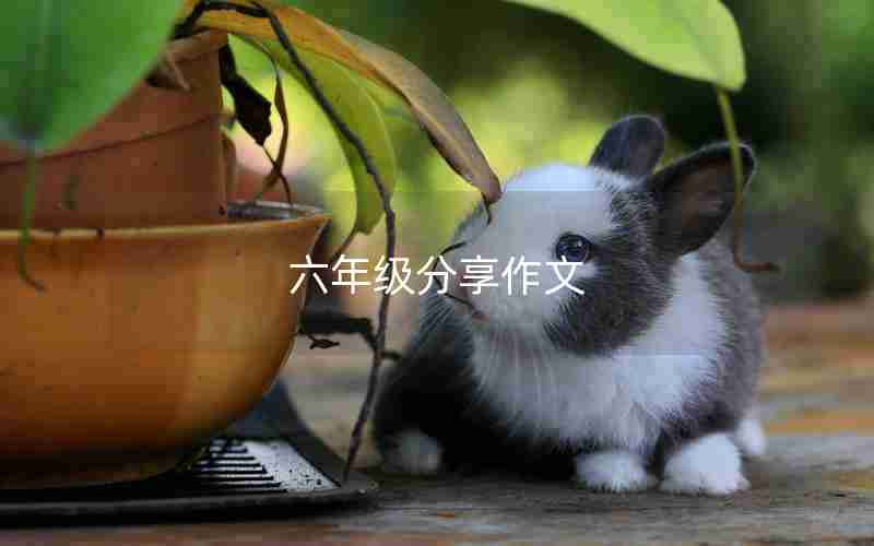 六年级分享作文