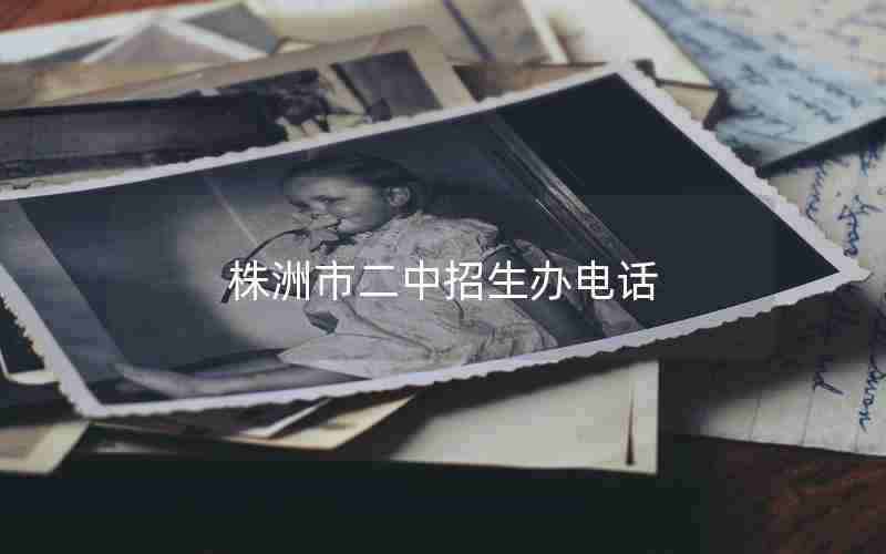 株洲市二中招生办电话