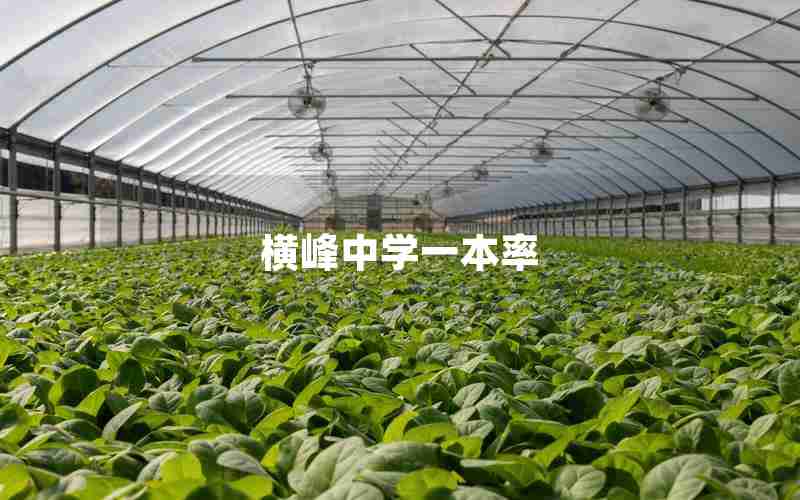 横峰中学一本率