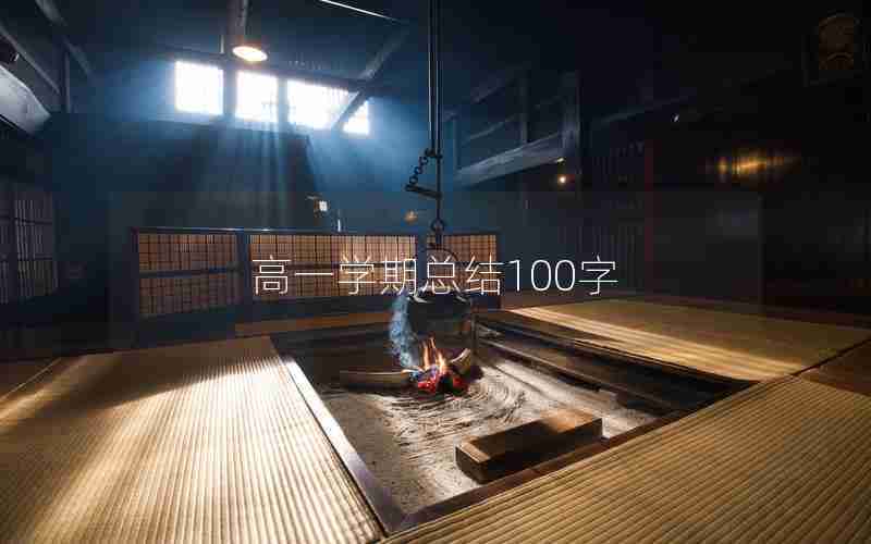 高一学期总结100字