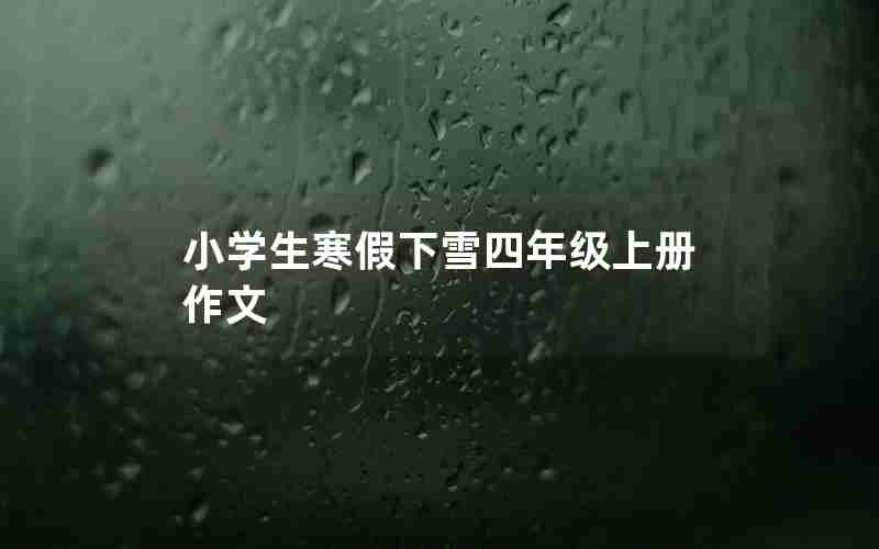 小学生寒假下雪四年级上册作文