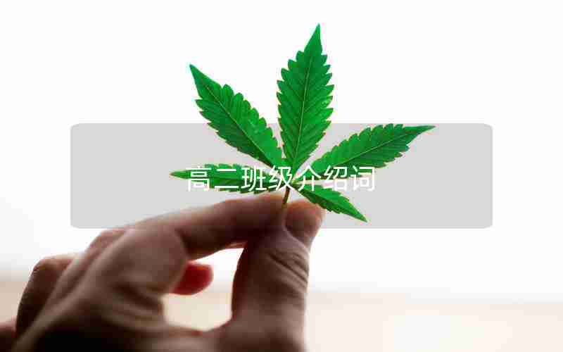 高二班级介绍词