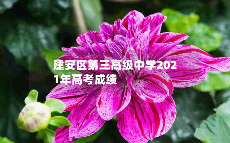 建安区第三高级中学2021年高考成绩