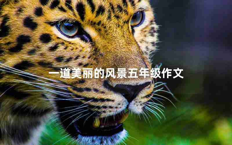 一道美丽的风景五年级作文