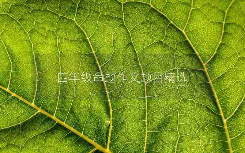 四年级命题作文题目精选
