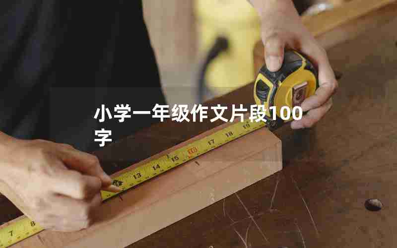 小学一年级作文片段100字