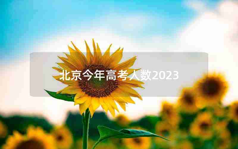北京今年高考人数2023