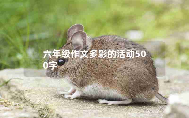 六年级作文多彩的活动500字