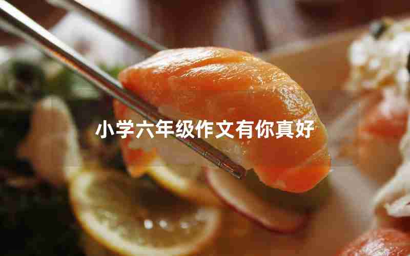 小学六年级作文有你真好