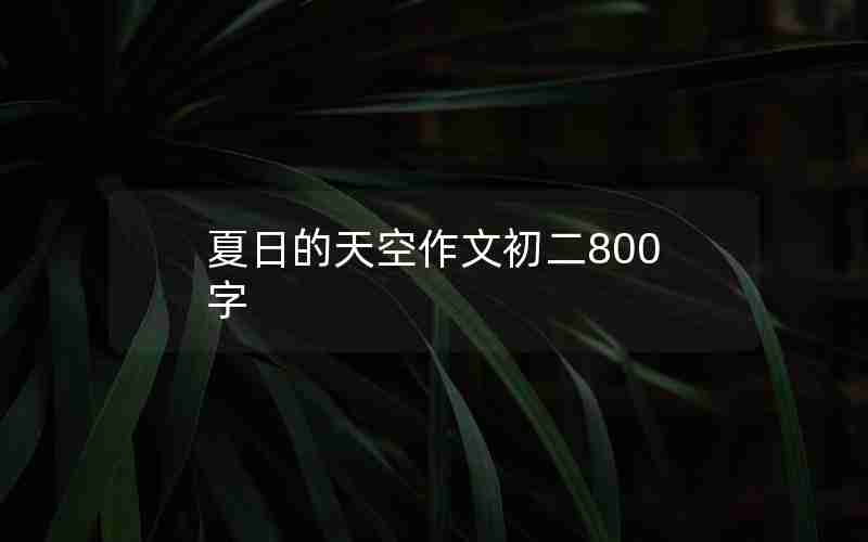 夏日的天空作文初二800字