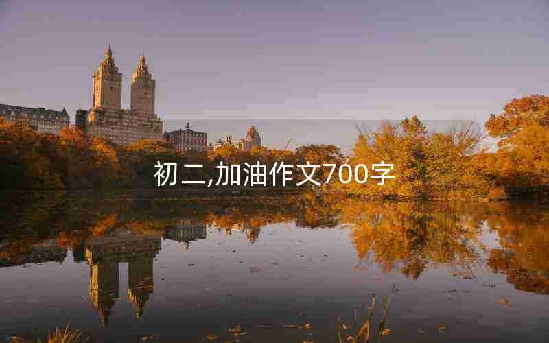 初二,加油作文700字