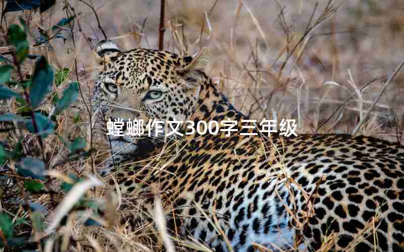 螳螂作文300字三年级