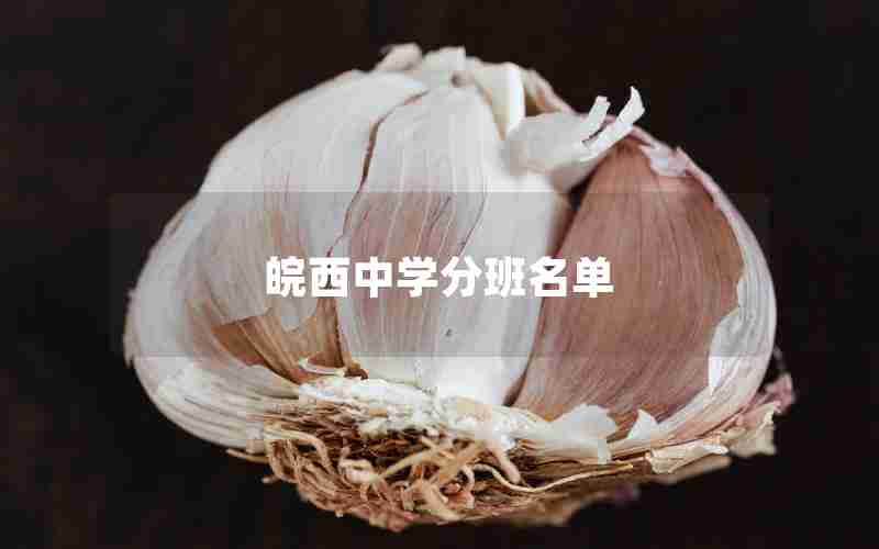 皖西中学分班名单