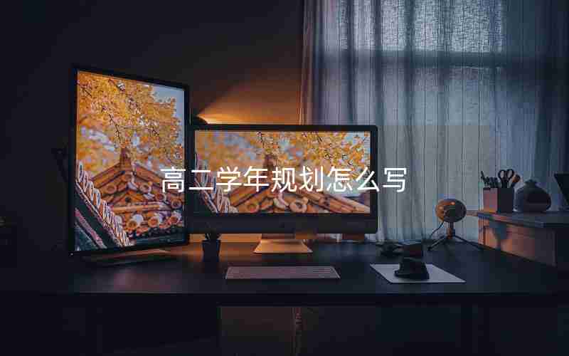 高二学年规划怎么写