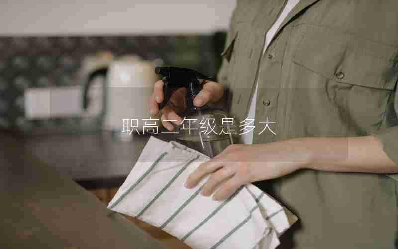 职高二年级是多大(二年级一般都是多少岁)