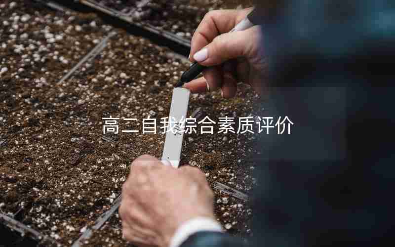 高二自我综合素质评价