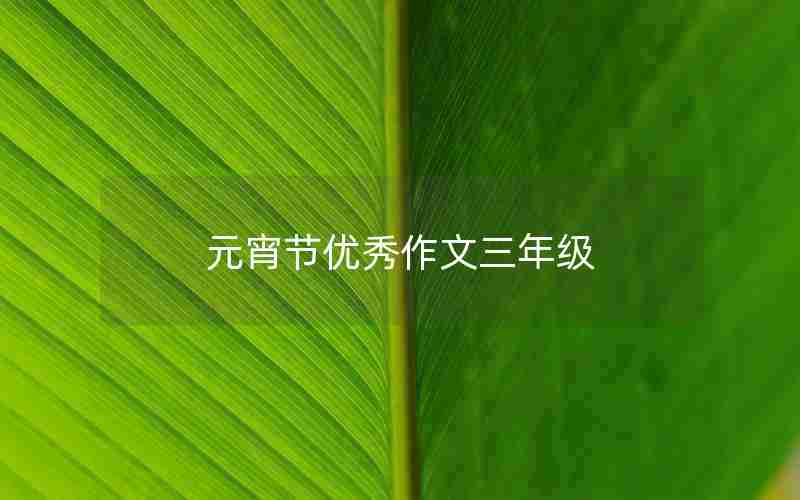 元宵节优秀作文三年级
