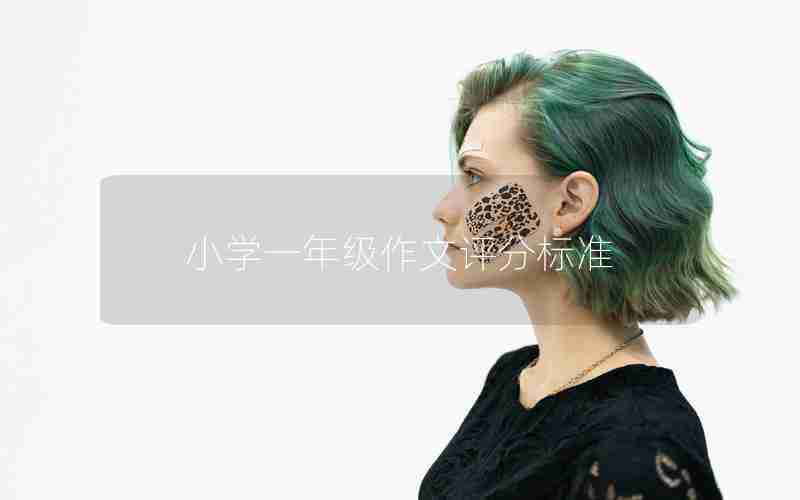 小学一年级作文评分标准
