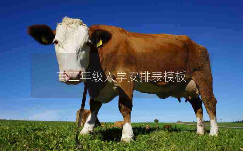 高三年级入学安排表模板