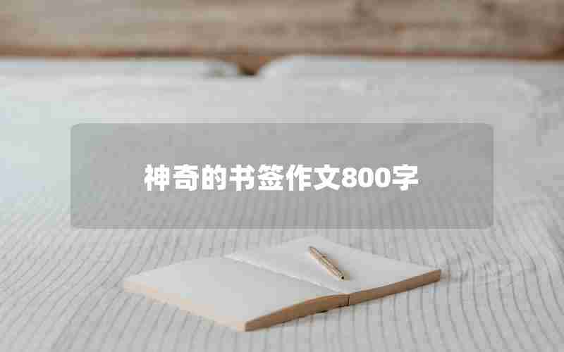 神奇的书签作文800字