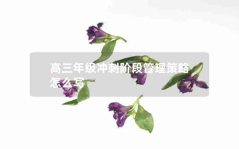 高三年级冲刺阶段管理策略怎么写