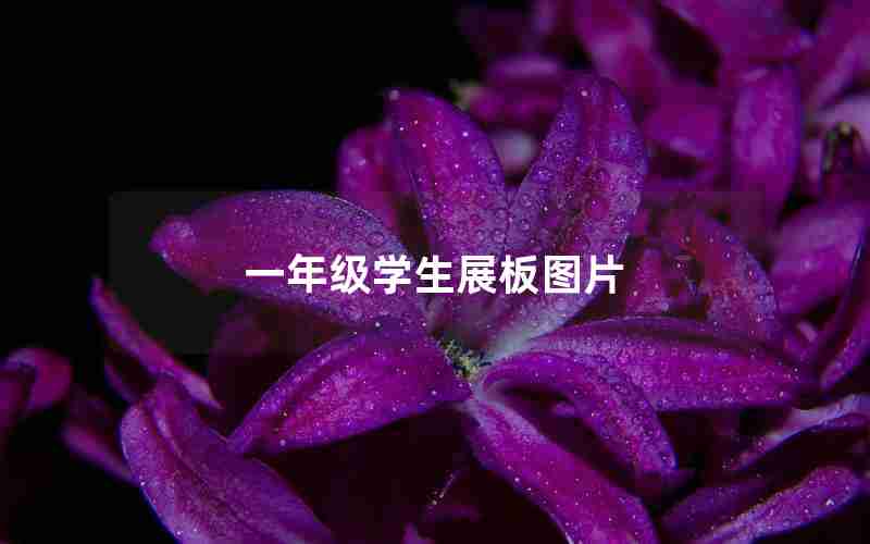 一年级学生展板图片