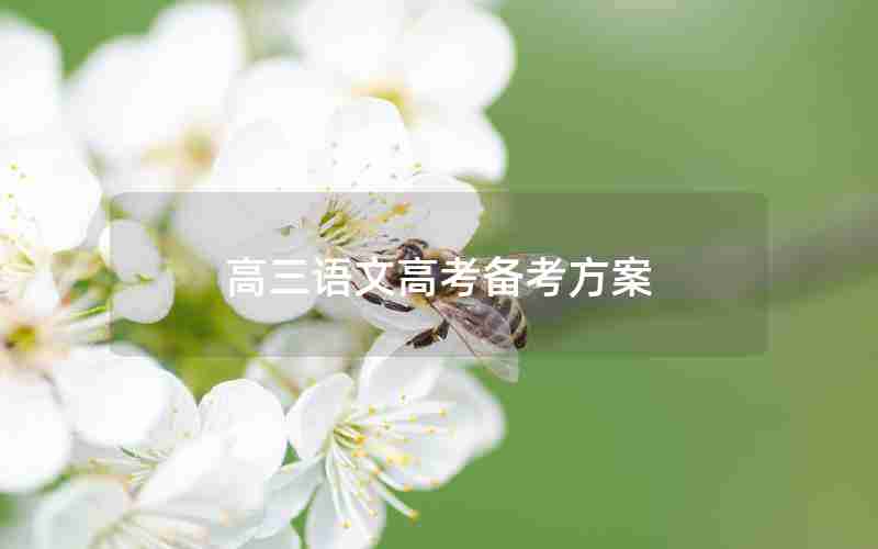 高三语文高考备考方案