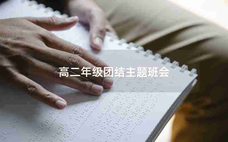 高二年级团结主题班会