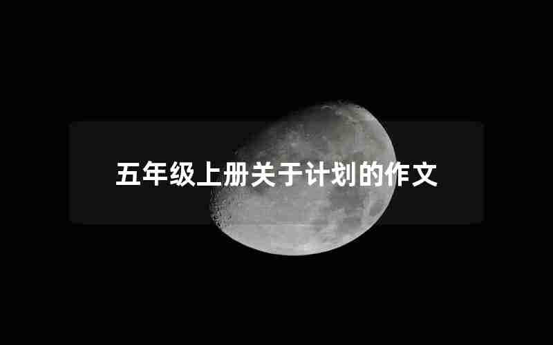五年级上册关于计划的作文