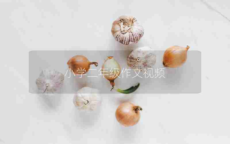小学二年级作文视频