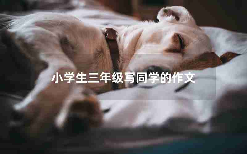 小学生三年级写同学的作文