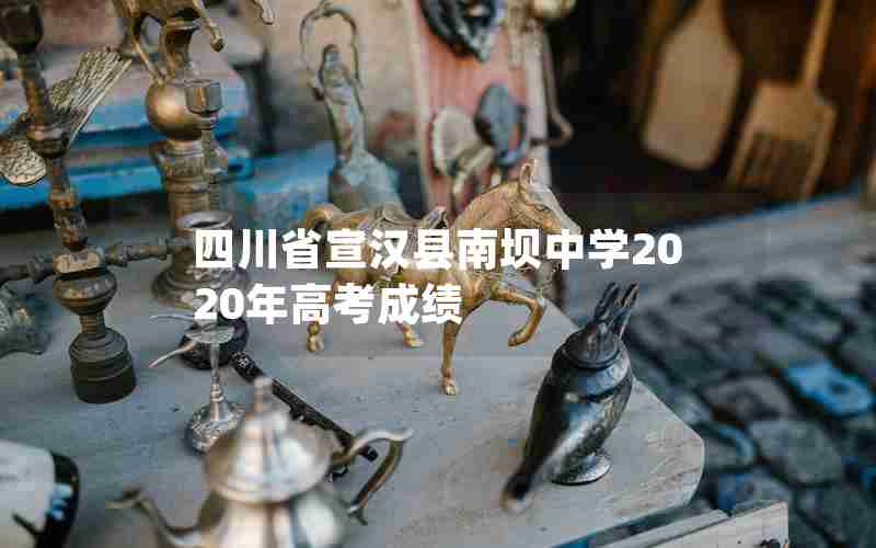 四川省宣汉县南坝中学2020年高考成绩