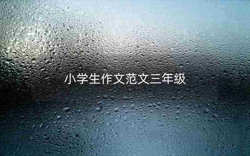 小学生作文范文三年级