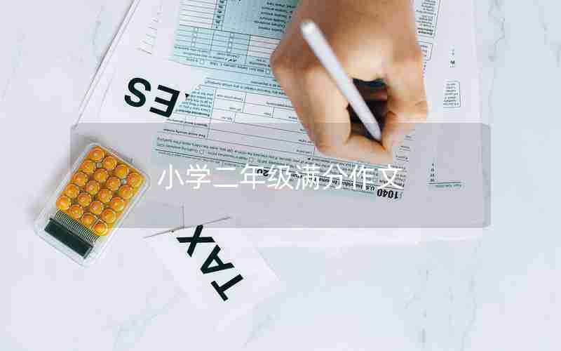 小学二年级满分作文