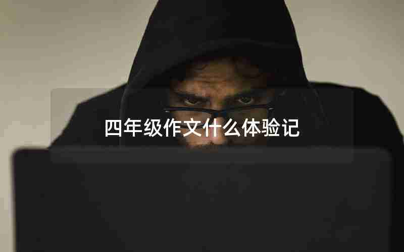 四年级作文什么体验记