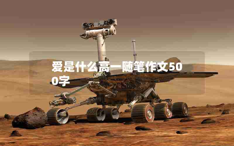 爱是什么高一随笔作文500字
