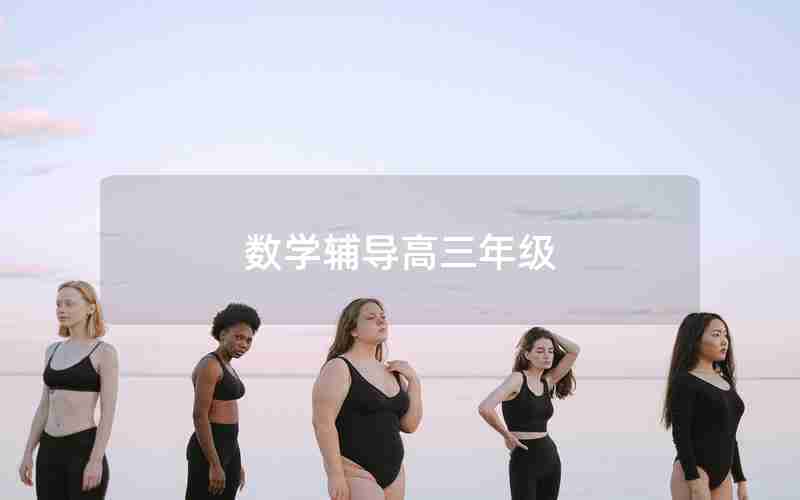 数学辅导高三年级(数学高三年级辅导)
