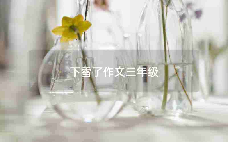 下雪了作文三年级