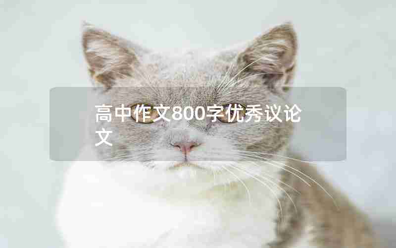 高中作文800字优秀议论文