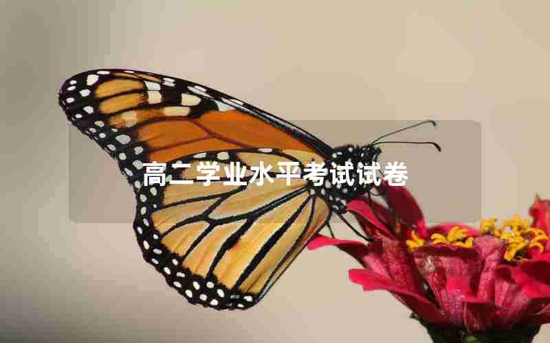 高二学业水平考试试卷