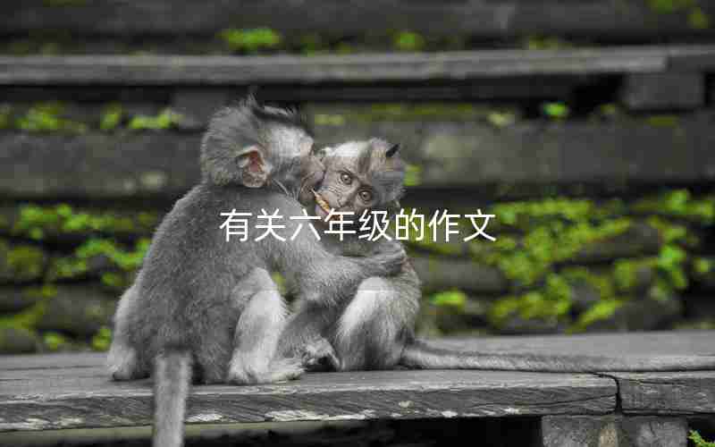 有关六年级的作文